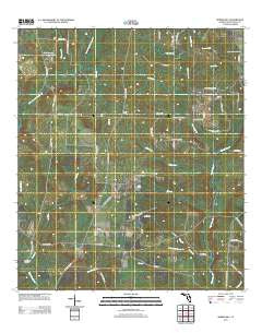 Spring Hill Florida Historical topographic map, 1:24000 scale, 7.5 X 7.5 Minute, Year 2012
