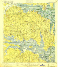St Marys Florida Historical topographic map, 1:62500 scale, 15 X 15 Minute, Year 1919