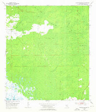 Steinhatchee SE Florida Historical topographic map, 1:24000 scale, 7.5 X 7.5 Minute, Year 1954
