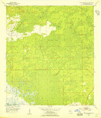 Steinhatchee SE Florida Historical topographic map, 1:24000 scale, 7.5 X 7.5 Minute, Year 1954