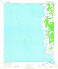 Steinhatchee SW Florida Historical topographic map, 1:24000 scale, 7.5 X 7.5 Minute, Year 1954