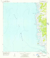 Steinhatchee SW Florida Historical topographic map, 1:24000 scale, 7.5 X 7.5 Minute, Year 1954