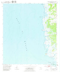 Steinhatchee SW Florida Historical topographic map, 1:24000 scale, 7.5 X 7.5 Minute, Year 1954