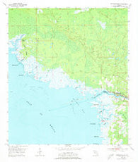 Steinhatchee Florida Historical topographic map, 1:24000 scale, 7.5 X 7.5 Minute, Year 1954