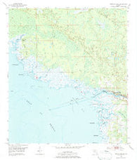 Steinhatchee Florida Historical topographic map, 1:24000 scale, 7.5 X 7.5 Minute, Year 1954