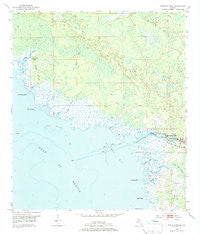 Steinhatchee Florida Historical topographic map, 1:24000 scale, 7.5 X 7.5 Minute, Year 1954