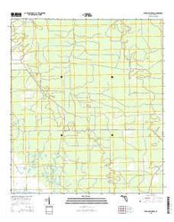 Steinhatchee SE Florida Current topographic map, 1:24000 scale, 7.5 X 7.5 Minute, Year 2015