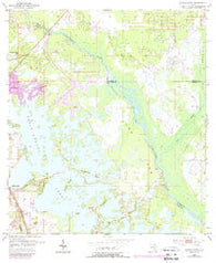 Stokes Ferry Florida Historical topographic map, 1:24000 scale, 7.5 X 7.5 Minute, Year 1954