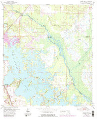Stokes Ferry Florida Historical topographic map, 1:24000 scale, 7.5 X 7.5 Minute, Year 1954