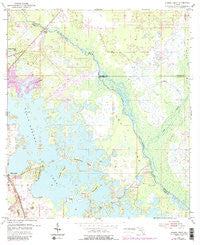 Stokes Ferry Florida Historical topographic map, 1:24000 scale, 7.5 X 7.5 Minute, Year 1954