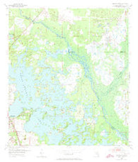 Stokes Ferry Florida Historical topographic map, 1:24000 scale, 7.5 X 7.5 Minute, Year 1954