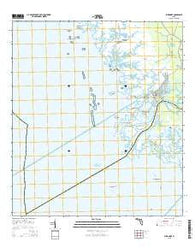 Suwannee Florida Current topographic map, 1:24000 scale, 7.5 X 7.5 Minute, Year 2015