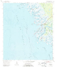 Suwannee Florida Historical topographic map, 1:24000 scale, 7.5 X 7.5 Minute, Year 1954