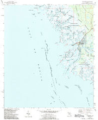 Suwannee Florida Historical topographic map, 1:24000 scale, 7.5 X 7.5 Minute, Year 1954