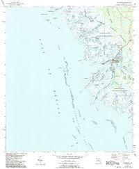 Suwannee Florida Historical topographic map, 1:24000 scale, 7.5 X 7.5 Minute, Year 1954