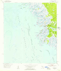 Suwannee Florida Historical topographic map, 1:24000 scale, 7.5 X 7.5 Minute, Year 1954