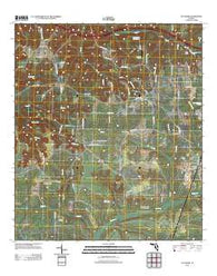 Sycamore Florida Historical topographic map, 1:24000 scale, 7.5 X 7.5 Minute, Year 2012