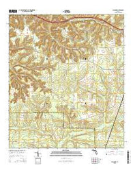 Sycamore Florida Current topographic map, 1:24000 scale, 7.5 X 7.5 Minute, Year 2015