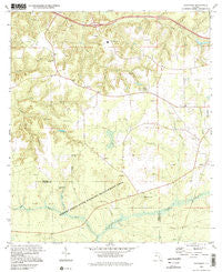 Sycamore Florida Historical topographic map, 1:24000 scale, 7.5 X 7.5 Minute, Year 1994