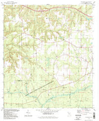 Sycamore Florida Historical topographic map, 1:24000 scale, 7.5 X 7.5 Minute, Year 1994