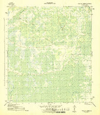 Tates Hell Swamp Florida Historical topographic map, 1:31680 scale, 7.5 X 7.5 Minute, Year 1945