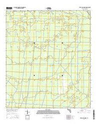 Tates Hell Swamp Florida Current topographic map, 1:24000 scale, 7.5 X 7.5 Minute, Year 2015