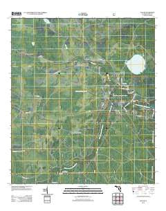 Taylor Florida Historical topographic map, 1:24000 scale, 7.5 X 7.5 Minute, Year 2012