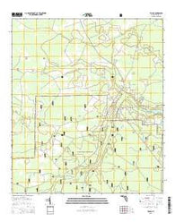 Taylor Florida Current topographic map, 1:24000 scale, 7.5 X 7.5 Minute, Year 2015