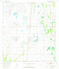 Taylor Creek NE Florida Historical topographic map, 1:24000 scale, 7.5 X 7.5 Minute, Year 1953