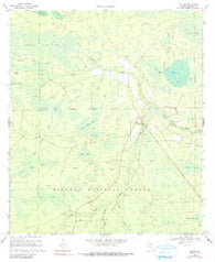 Taylor Florida Historical topographic map, 1:24000 scale, 7.5 X 7.5 Minute, Year 1969
