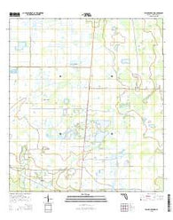 Taylor Creek NE Florida Current topographic map, 1:24000 scale, 7.5 X 7.5 Minute, Year 2015