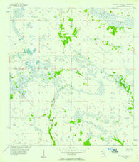Telegraph Swamp NE Florida Historical topographic map, 1:24000 scale, 7.5 X 7.5 Minute, Year 1956