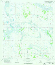 Telegraph Swamp NE Florida Historical topographic map, 1:24000 scale, 7.5 X 7.5 Minute, Year 1956
