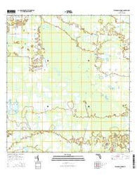 Telegraph Swamp Florida Current topographic map, 1:24000 scale, 7.5 X 7.5 Minute, Year 2015
