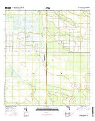 Telegraph Swamp NE Florida Current topographic map, 1:24000 scale, 7.5 X 7.5 Minute, Year 2015