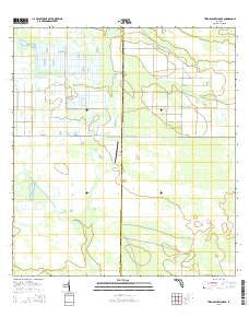 Telegraph Swamp NE Florida Current topographic map, 1:24000 scale, 7.5 X 7.5 Minute, Year 2015