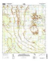 Telegraph Swamp NW Florida Current topographic map, 1:24000 scale, 7.5 X 7.5 Minute, Year 2015