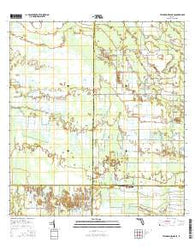 Telegraph Swamp SE Florida Current topographic map, 1:24000 scale, 7.5 X 7.5 Minute, Year 2015