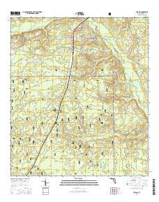 Telogia Florida Current topographic map, 1:24000 scale, 7.5 X 7.5 Minute, Year 2015