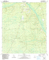 Telogia Florida Historical topographic map, 1:24000 scale, 7.5 X 7.5 Minute, Year 1990