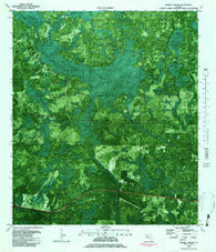 Tenmile Swamp Florida Historical topographic map, 1:24000 scale, 7.5 X 7.5 Minute, Year 1982