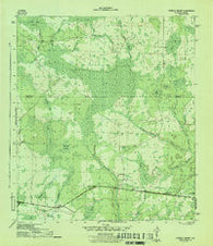 Tenmile Swamp Florida Historical topographic map, 1:31680 scale, 7.5 X 7.5 Minute, Year 1945