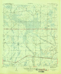 Tenmile Swamp Florida Historical topographic map, 1:31680 scale, 7.5 X 7.5 Minute, Year 1945