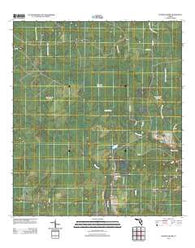 Tenmile Swamp Florida Historical topographic map, 1:24000 scale, 7.5 X 7.5 Minute, Year 2012