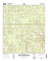 Tenmile Swamp Florida Current topographic map, 1:24000 scale, 7.5 X 7.5 Minute, Year 2015