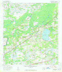 Thonotosassa Florida Historical topographic map, 1:24000 scale, 7.5 X 7.5 Minute, Year 1943