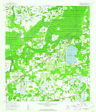 Thonotosassa Florida Historical topographic map, 1:24000 scale, 7.5 X 7.5 Minute, Year 1943