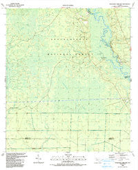 Thousand Yard Bay Florida Historical topographic map, 1:24000 scale, 7.5 X 7.5 Minute, Year 1990