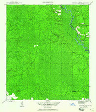Thousand Yard Bay Florida Historical topographic map, 1:24000 scale, 7.5 X 7.5 Minute, Year 1945