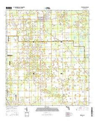 Trenton Florida Current topographic map, 1:24000 scale, 7.5 X 7.5 Minute, Year 2015